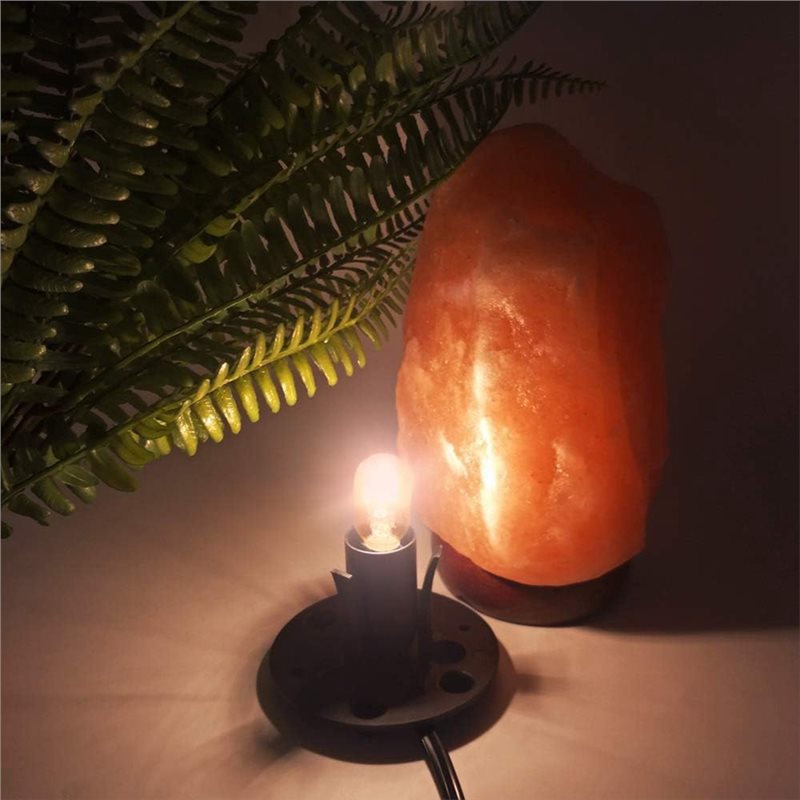 Cordons de remplacement avec e - Himalayan Salt Lamp avis et prix